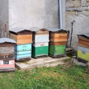 Exemple: Donne vieux matériel d&rsquo;apiculture:
