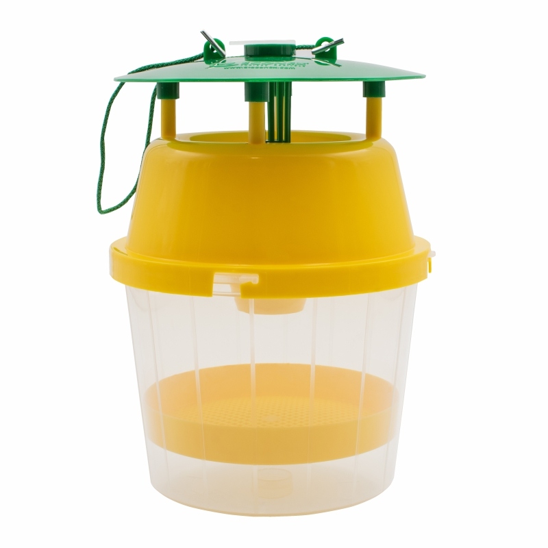 You are currently viewing Lutte contre le frelon asiatique