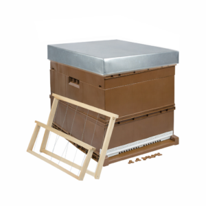 Ruche plastique 10C Nicot toit tôle