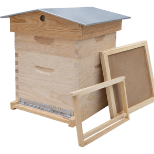 Ruche complète Dadant 10c ou 12c bois avec toit chalet