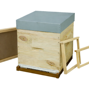 Ruche Bois 10c plateau Nicot toit tôle